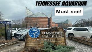 Tennessee Aquarium Chattanooga Must Visit! Complete walkthrough!#aquarium #fish #aquatic life
