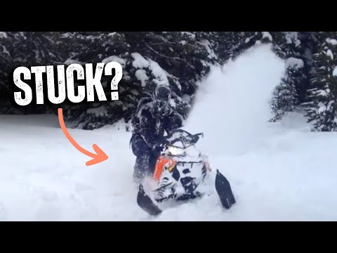 Shredding Powder and Wipe-out \\ Hidden Meadow