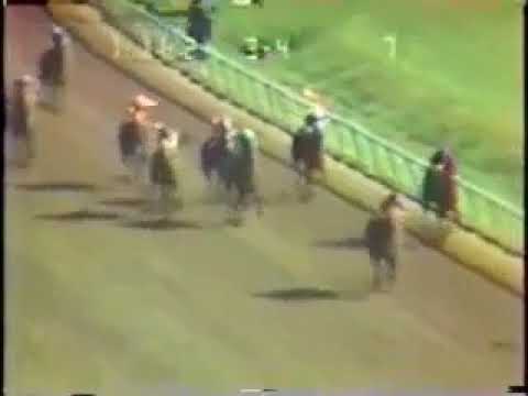 1978 Blue Grass Stakes - Alydar