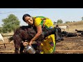 Viral Milk Making