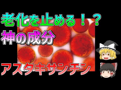 ヒポキサンチンについて詳しく解説