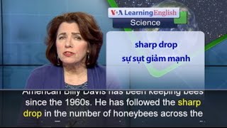 Phát âm chuẩn - Anh ngữ đặc biệt: Saving Honeybees (VOA)