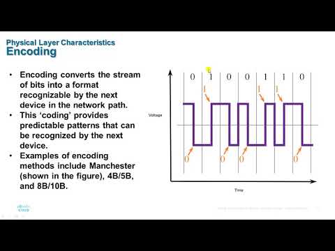 module 4 Physical Layer ccna v7