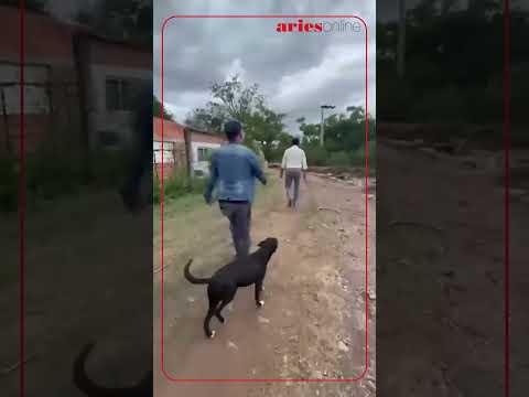 Vecinos enfrentan al intendente Sumbay en plena calle por falta de obras tras inundaciones
