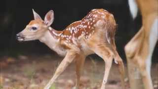 The Hope of This Season - The Spoken Word