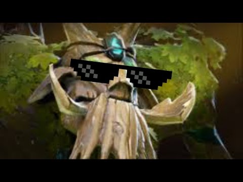 Roaming with Treant Protector