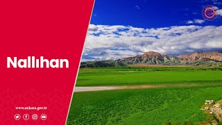 Nallıhan...