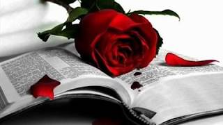 Demon Hunter - The Tide Began To Rise