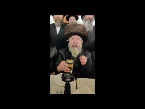 Rachmastrivka Rebbe At His Brother's Einikel's Wedding - Elul 5783 #3  Lchaim & Sheva Brochos