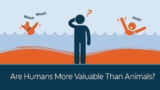 Are Humans More Valuable Than Animals?