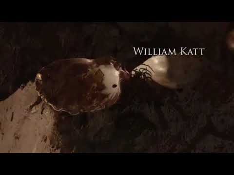 Make your Peace - Man From Earth : Holocene