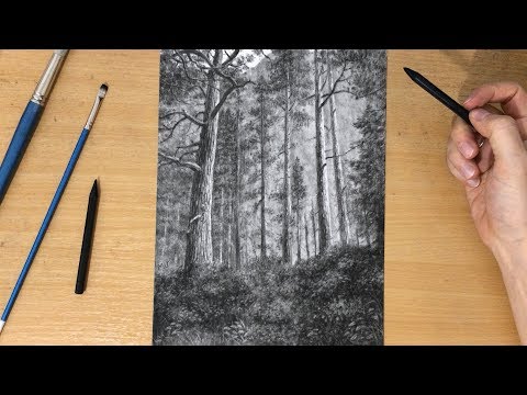 How to Draw Forest Landscape - Narrated Tutorial