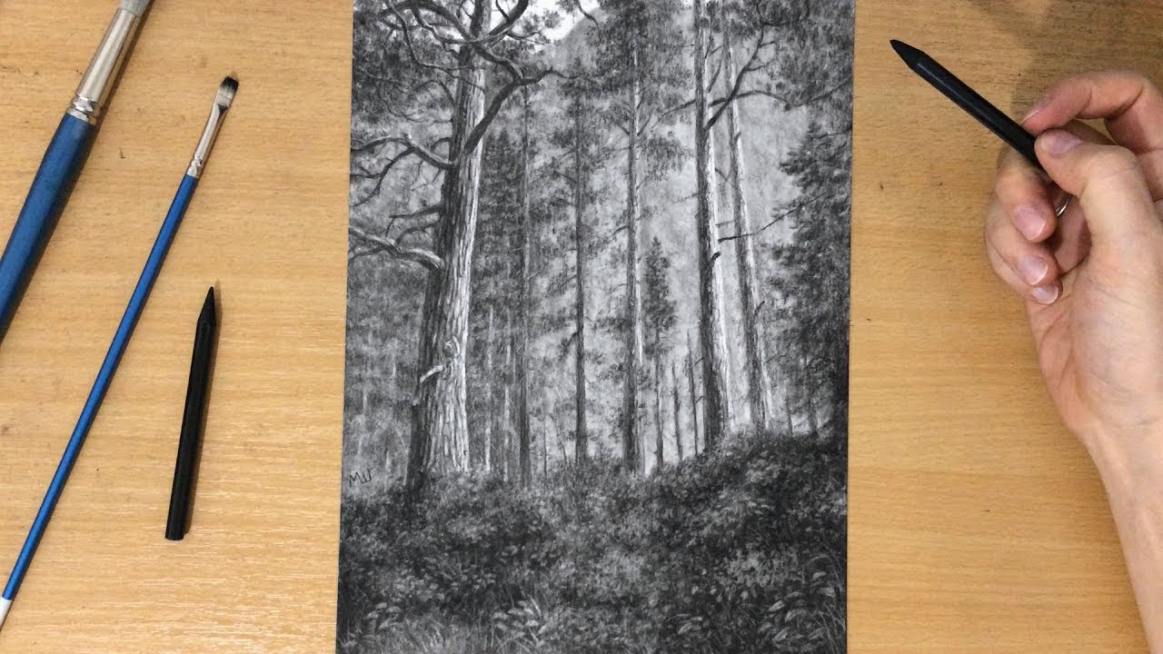 How to Draw Forest Landscape - Narrated Tutorial