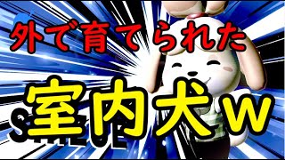 しずえバカにされすぎワロタｗｗｗｗ【大乱闘SP】