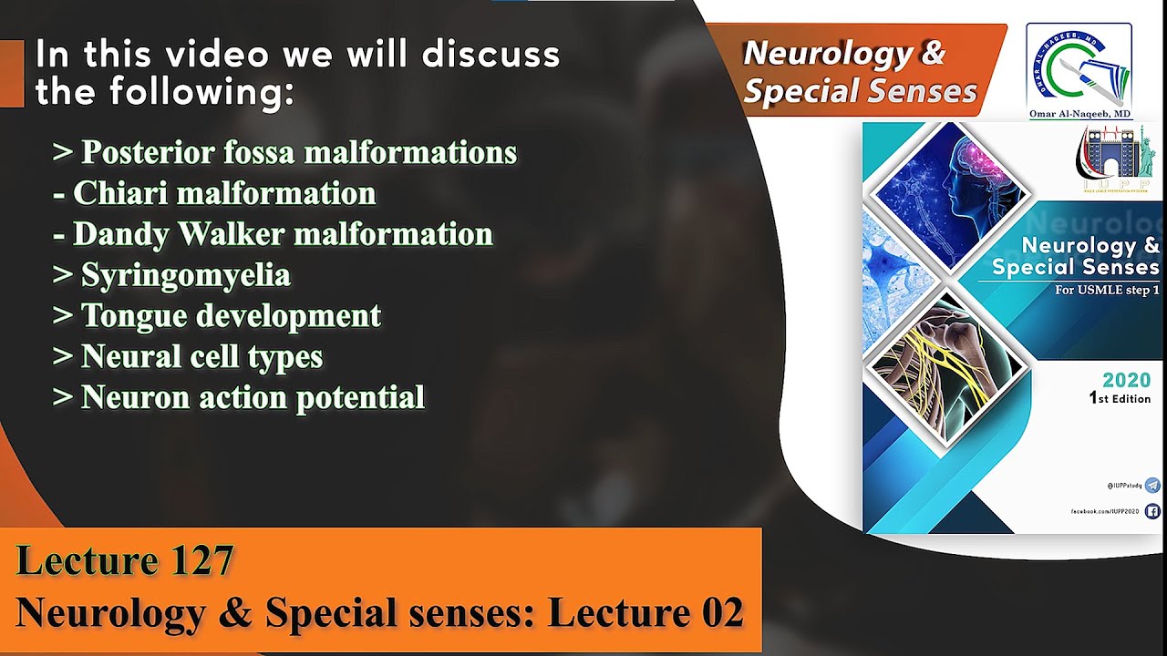 Chiari malformation |Dandy Walker cyst | Syringomyelia | Neural cell types | Neuron action potential