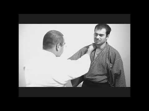 Ogawa Ryu - 自然の伝統 Shizen no Dentou 骨法術 Koppojutsu - Collectanea