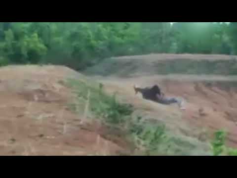 Медведь убил мужчину, пытавшегося сделать с ним селфи