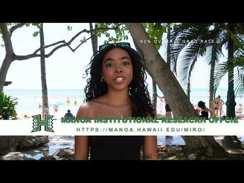 The Paradise Paradox Savvy Andrews