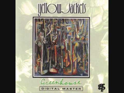 Yellow Jackets   (Seven Stars)