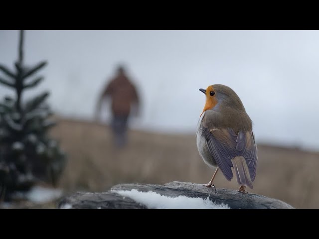 Video zu 'Send Me A Sign' ansehen