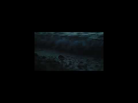 Bobby & Kanne38 - Meer sehen (Offizielles Video)