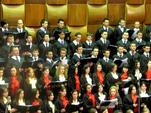 Concert Amicus Bucuresti Arad  Vino azi