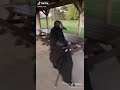 Plague Doc Walk Tiktok
