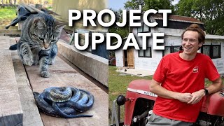 Home Depot Shed to House Project Update | Senior Year Computer Engineering Classes Finished!