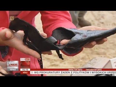 Chęciny: znaleziono zakład szewski sprzed kilku wieków (Raport z Polski TVP Info, 13.06.2013)