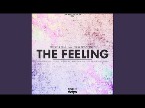 The Feeling (T-Drum's Deeper Mix)