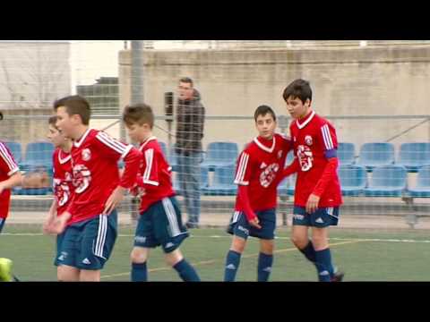 Partit UE Gandia & Tavernes, Aleví, Saneamiento