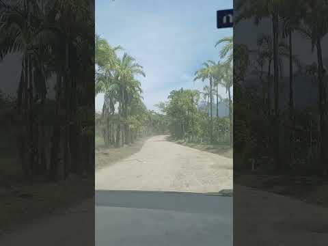 Estrada de Guaraqueçaba-Paraná