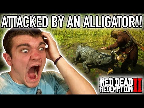ATTACKED BY AN ALLIGATOR! Red Dead Redemption 2 Pt.27 - Kendall Gray
