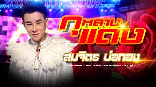 กุหลาบแดง – สมจิตร บ่อทอง