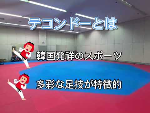 KEIHO テコンドー部【体育会】