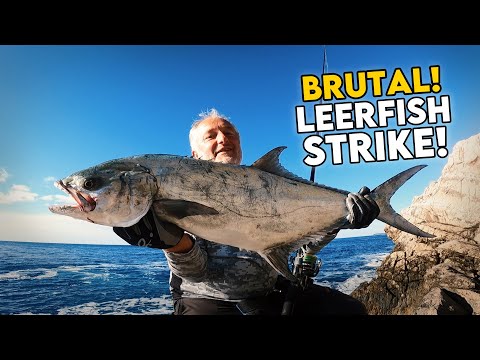 Incredible Attack Out of Nowhere | Shore Jigging BIG Leerfish