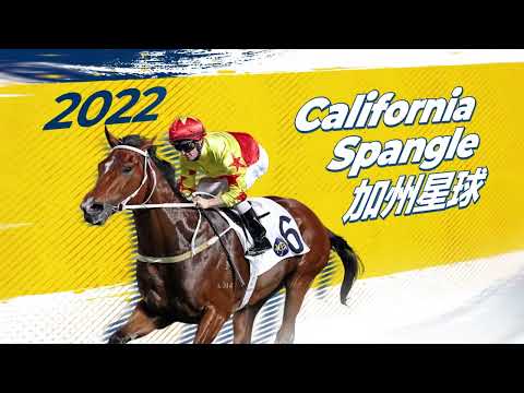 [BMW Hong Kong Derby 2022] Best of the Derby - Stage for 4-year-old stars