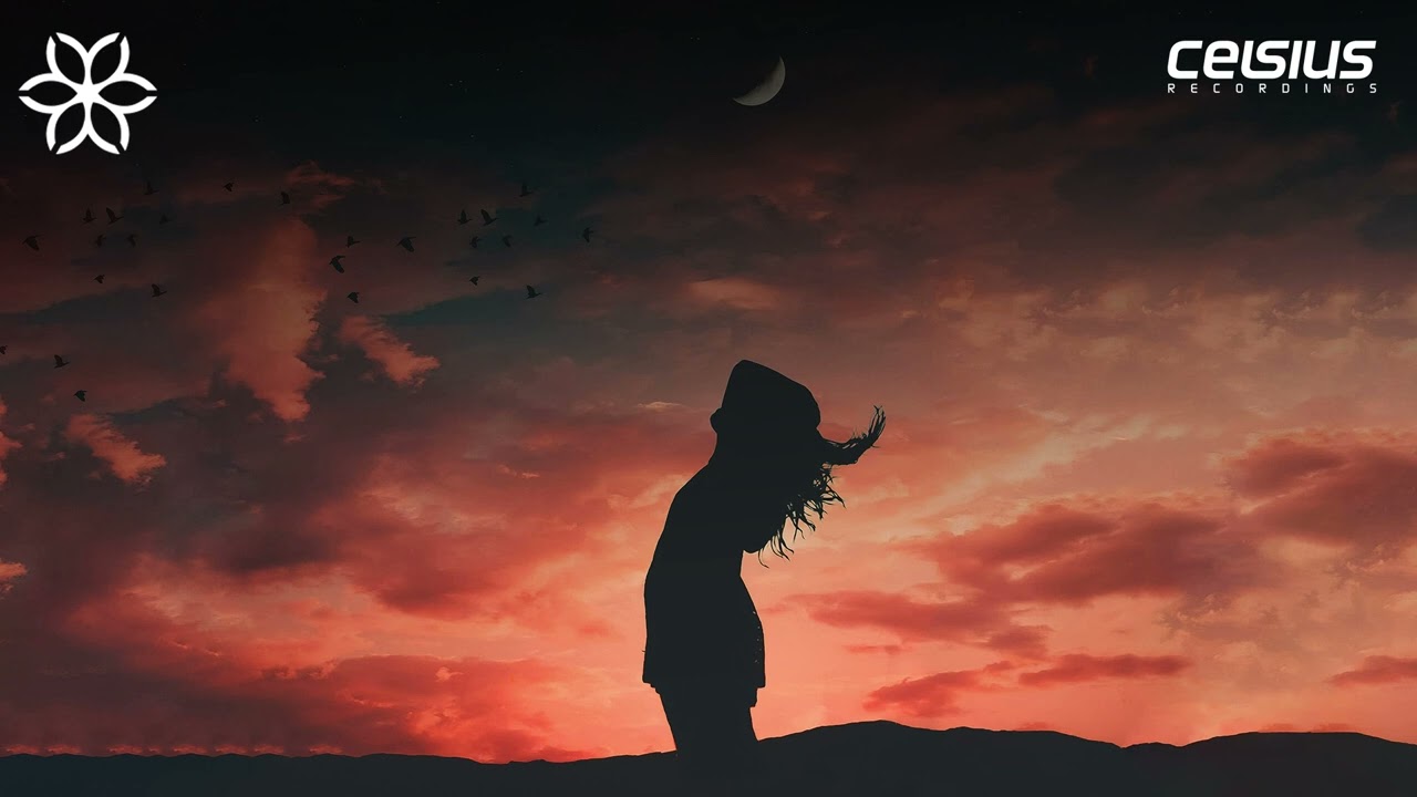 Dan Guidance - Access Denied