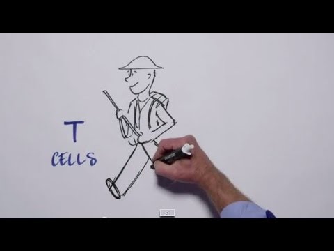 Melanoma Research Alliance Presents: The Promise of Immunotherapy