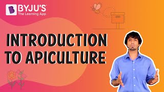 Apiculture or Beekeeping Introduction | BYJU'S
