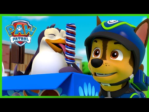 Pups Rescue Penguins in Adventure City! 🐧 | PAW Patrol Rescue Episode | Cartoons for Kids!