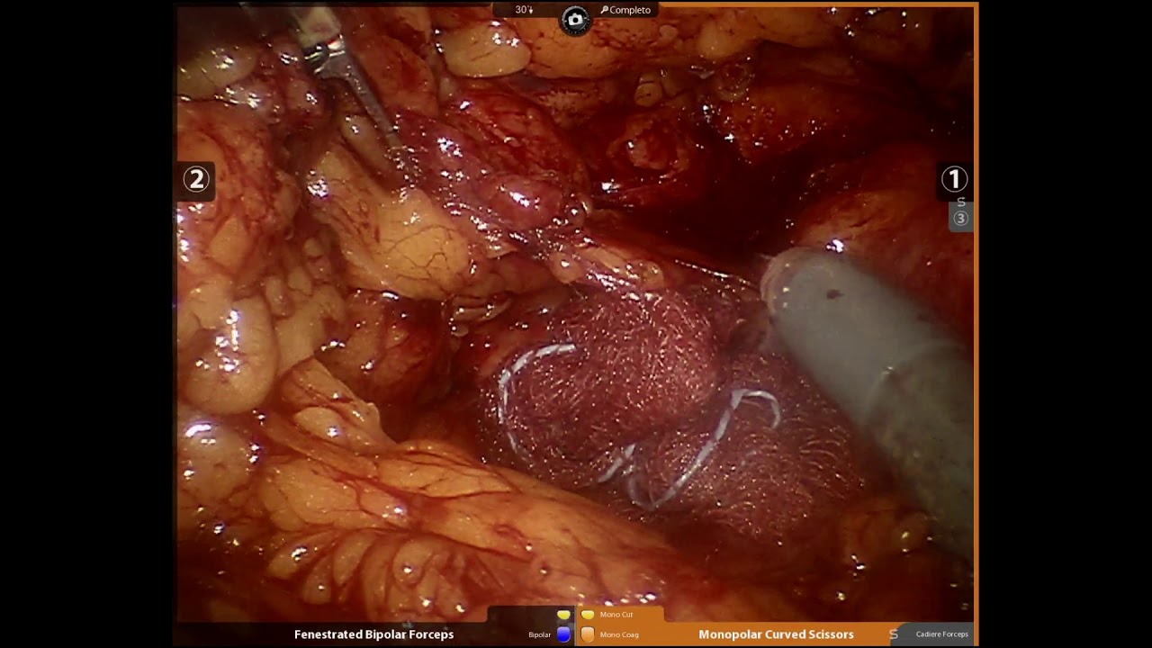 Thais Alencar Pinto Dos Santos-8