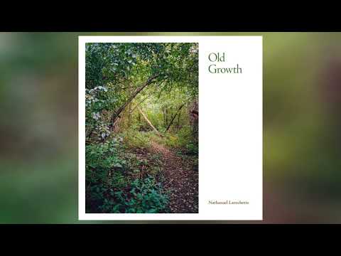 Nathanael Larochette - Old Growth (2023) (Full Album)