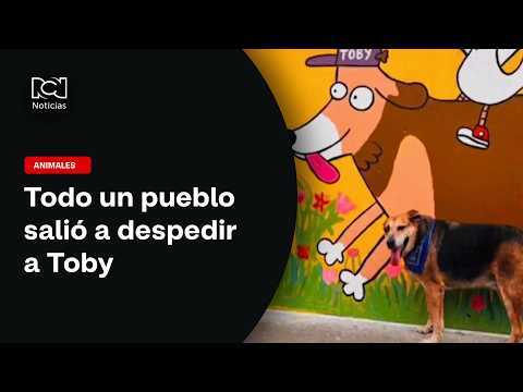 Miles de personas asistieron al funeral de un perrito en Nariño: esta es la razón