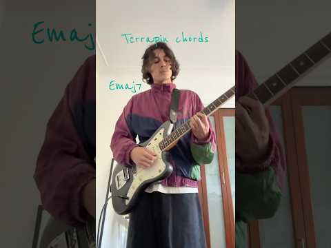 Terrapin - Clairo
