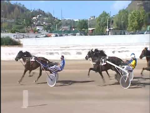 Trotto 12/09/2017 - 2ª corsa