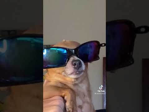 50% açúcar 50% mel 🍯🍯