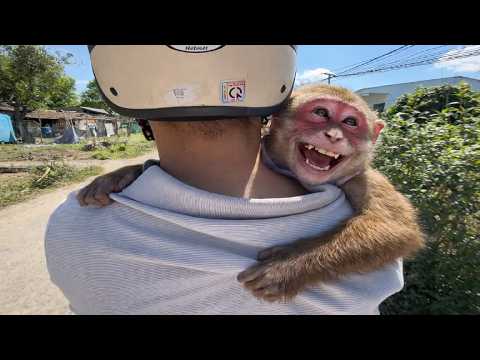 Kobi and his father went to pick up Kaka, but they couldn't find out where Kaka had gone.