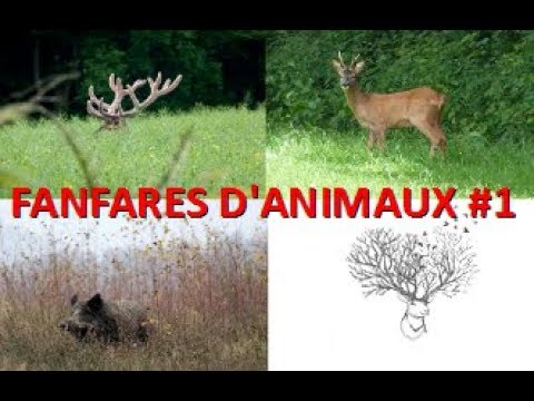 download lagu mp3 mp4 Les Fanfares De Circonstance, download lagu Les Fanfares De Circonstance gratis, unduh video klip Les Fanfares De Circonstance