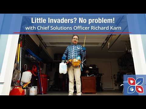  Little Invaders? No problem! with DoMyOwn's Chief Solutions Officer Richard Karn Video 
